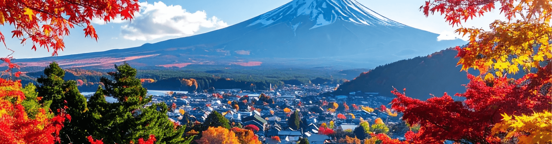 Exchange to Japan with English: Dzakwaan’s Journey at Tohoku University